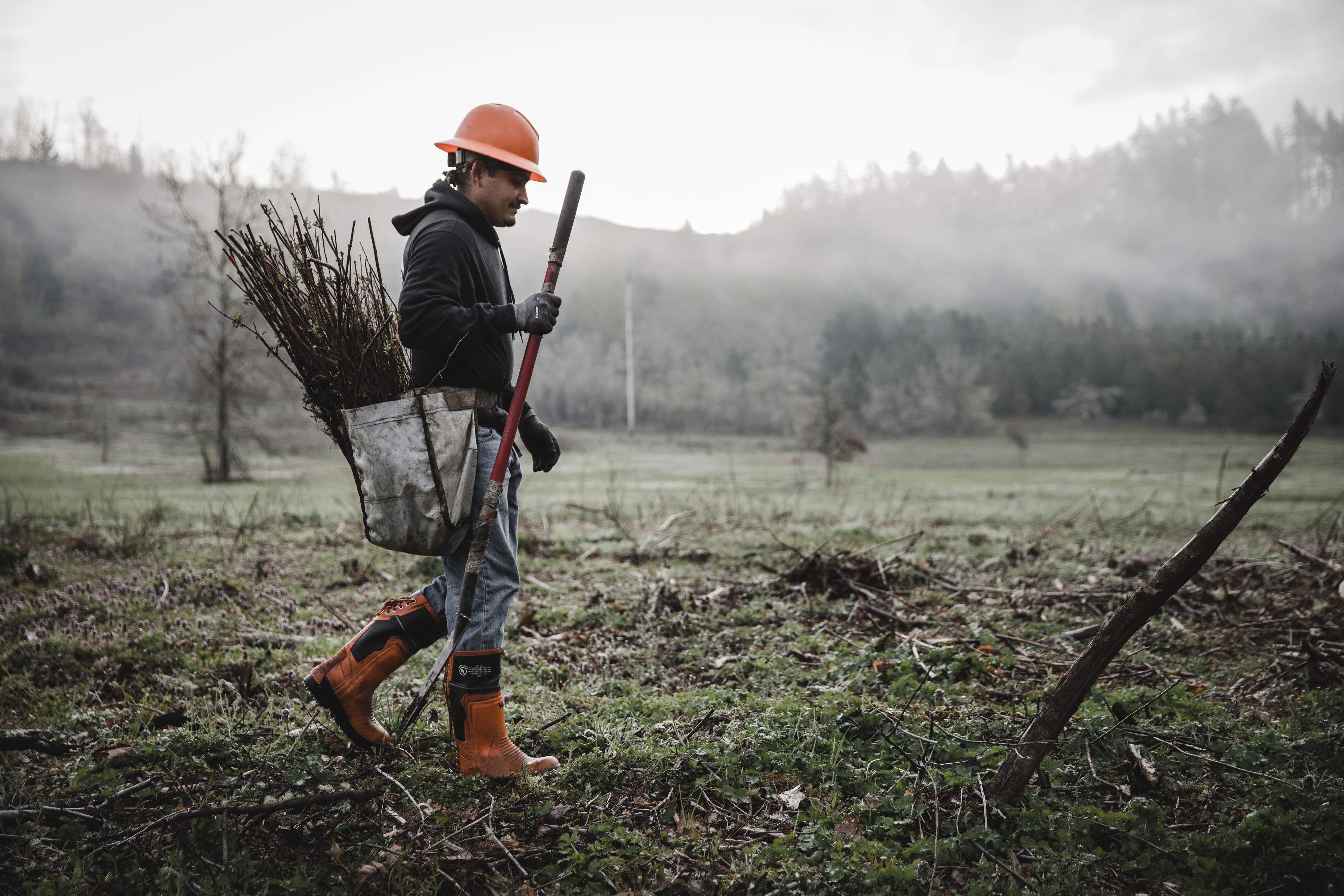 Post-Wildfire Restoration