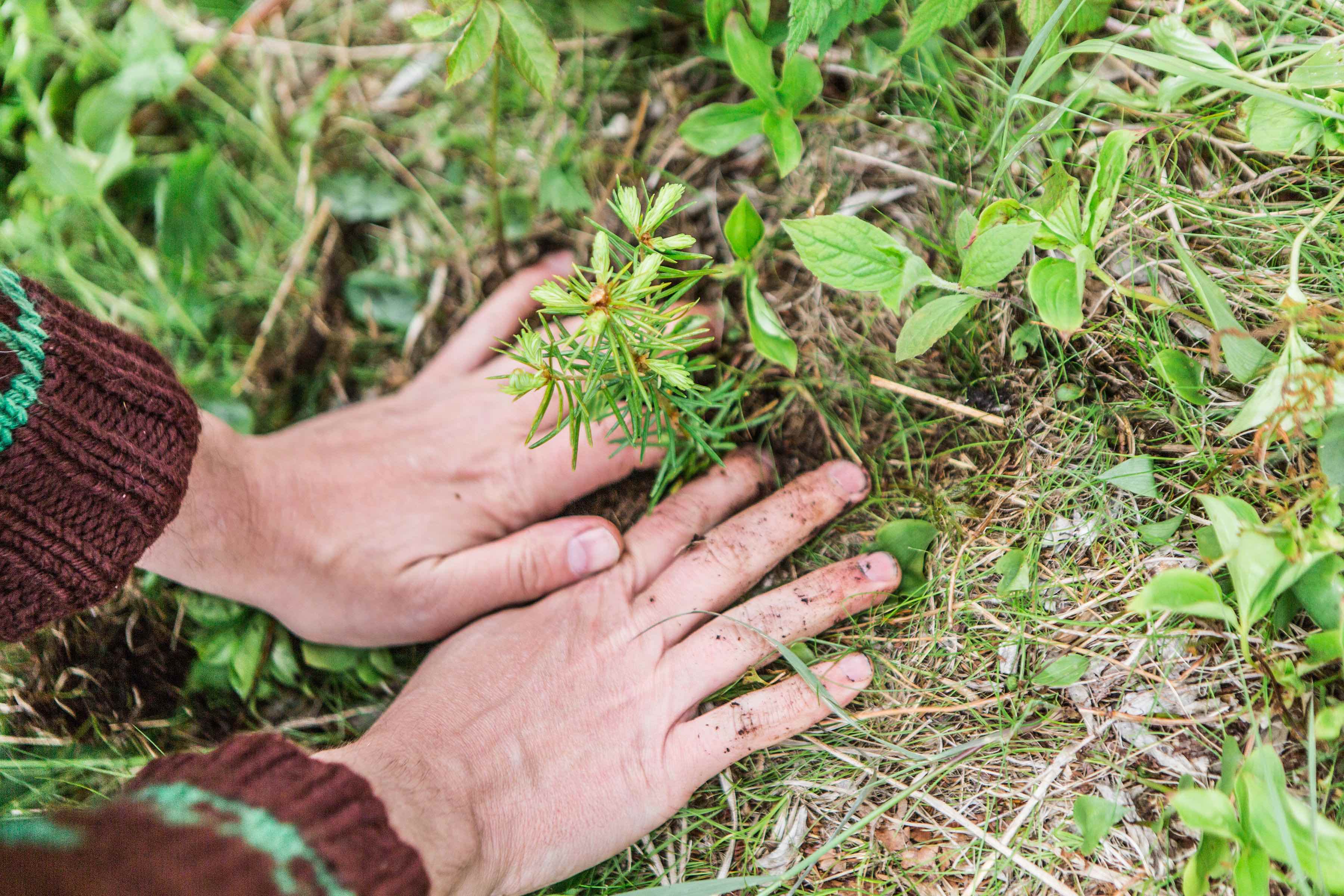 nature-based solutions