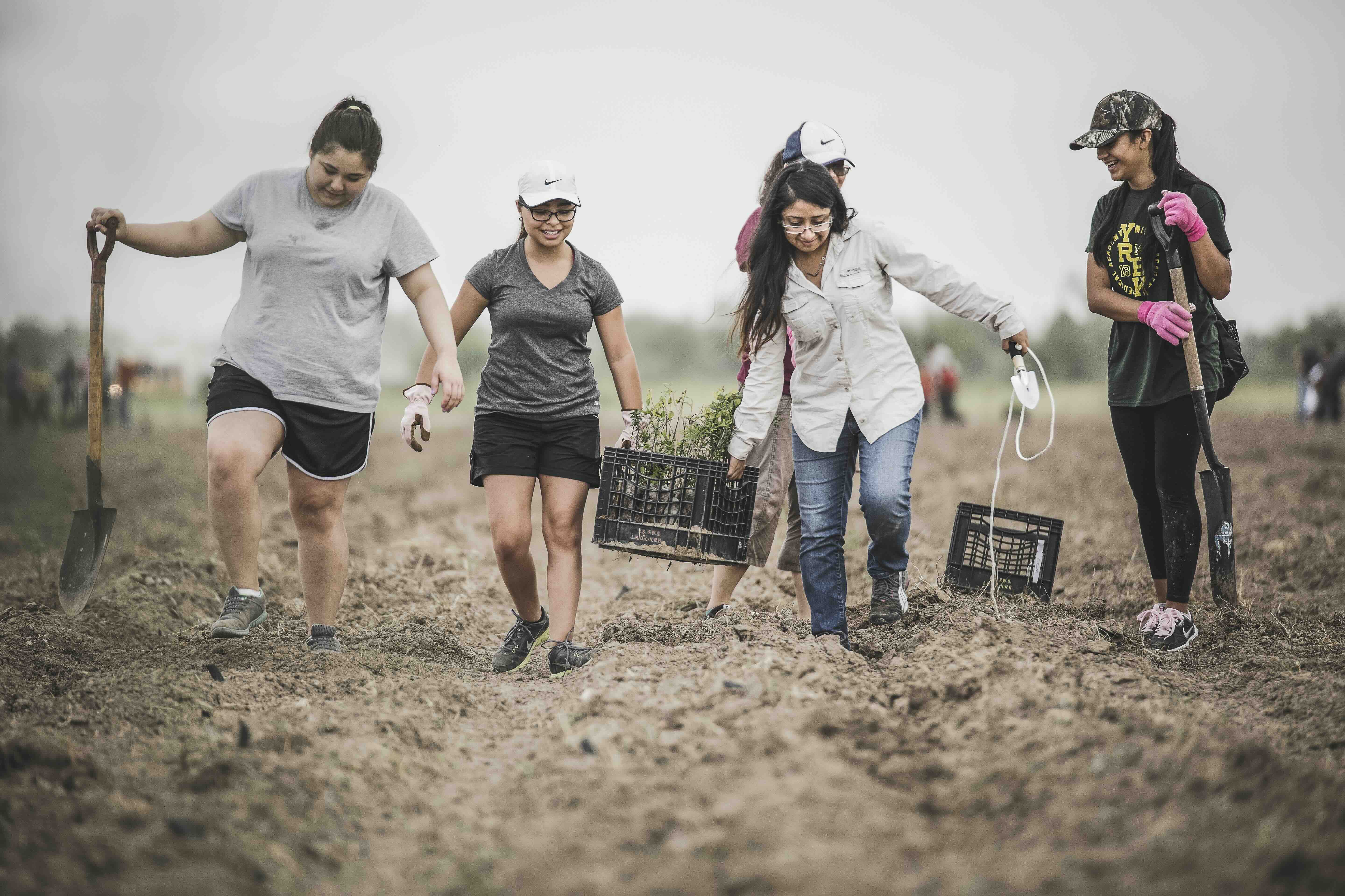 Tree Planting