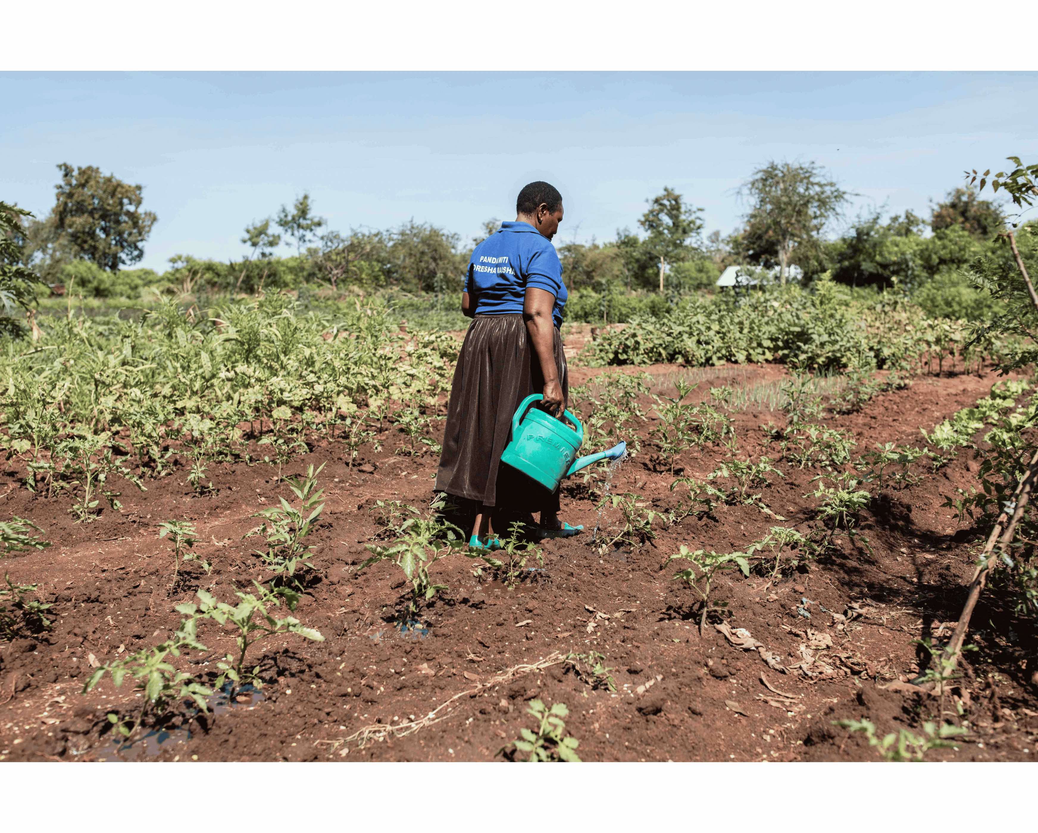 Farming in Tanzania